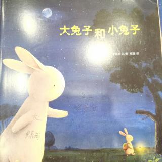 绘本《大兔子和小兔子》