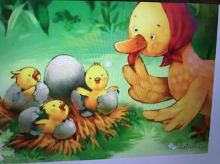 园长妈妈讲故事：不听话的小黄鸭