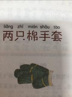 两只棉手套