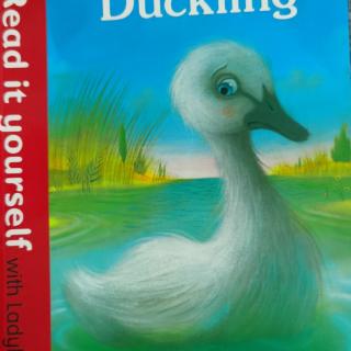 The Ugly Duckling（Vincent）