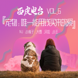 VOL6【胡同】宠物：唯一能用钱买来的爱