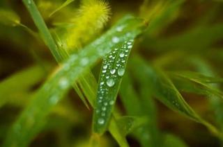 阿帘｜我是前世的一滴雨