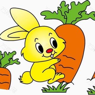 兔子拔萝卜情侣头像图片