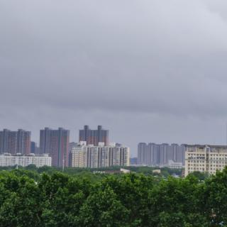 杨文    风靠近雨