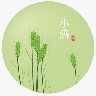 《二十四节气》8.小满