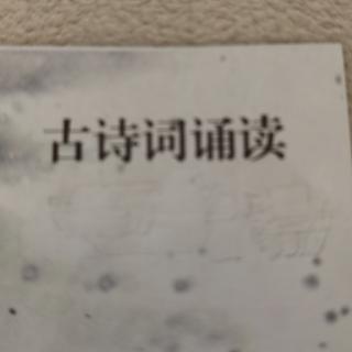 古诗词诵读