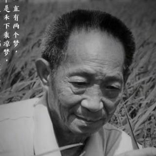 《从泥土里来，到白云中去》