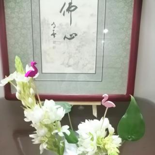 新编练声操