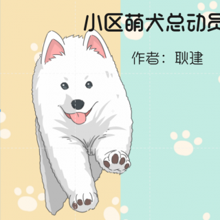 《小区萌犬总动员》1-1奇怪的盗窃案