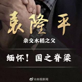 《禾下乘凉梦，丹心映青田》作者：罗小勇