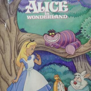 Alice in wonderland