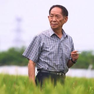 致敬！共和国脊梁 — 袁隆平  作者:以诗为马 声音:刘学智