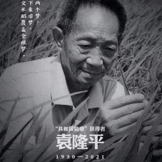 《袁隆平，只此一生》
作者：孟新生