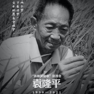 袁爷爷，您走好|作者：阿紫