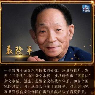 《风的回声——致敬世界杂交水稻之父袁隆平院士》