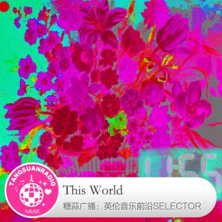  This World·糖蒜爱音乐之The Selector 