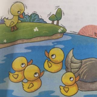 小鸭子学游水