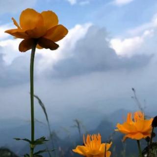 错过雨季看风景