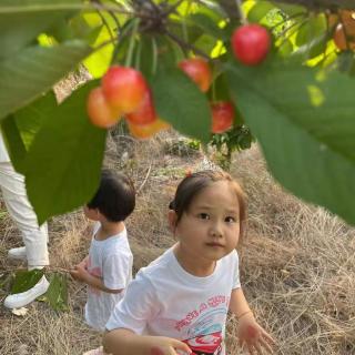 任淑勋 醉在故乡的夏