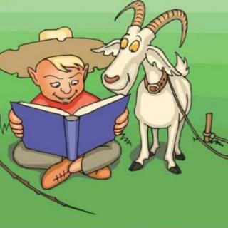 安博幼儿园鄢老师第204个睡前故事《牧人与野山羊》