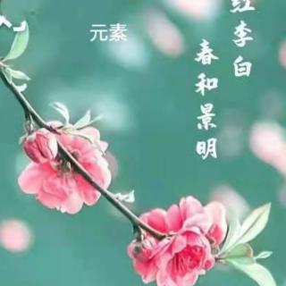 《一朵小花》作者普希金，朗诵云淡风轻