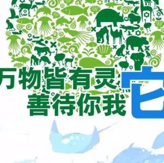 《敬畏生命——写在5.22世界生物多样性日》文/刘信生；诵/郑力