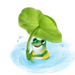 青蛙和绿色的伞☔️