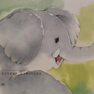 19大象的耳朵🐘