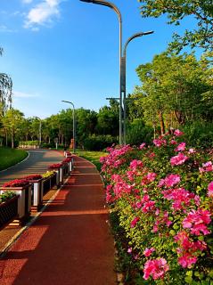 《人生四月天》作者：金色芙蓉