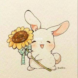 《花格兔🐰离家出走》