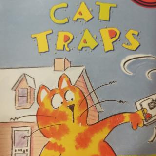 cat traps