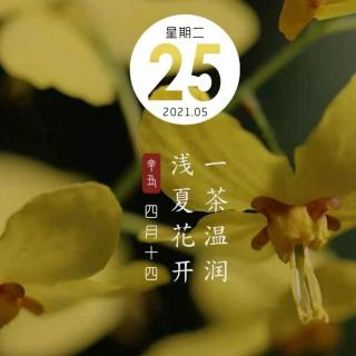 喀纳斯早安心语5.25