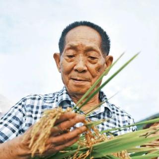 袁隆平先生写给妈妈的一封信