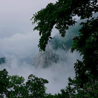 幸福藏在糊涂里