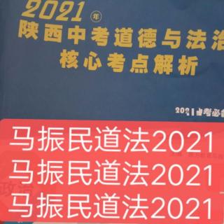 2021陕西中考④道德与法治核心考点解折(马老师)(43页页65完)(郭)