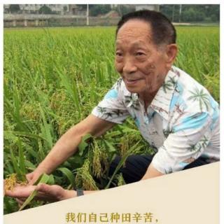 祭布衣伟人袁隆平