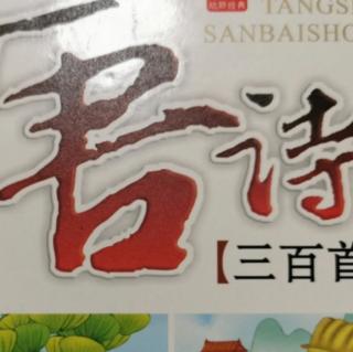 辰辰朗诵《咏鹅》