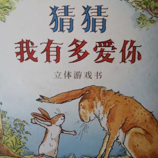 《猜猜，我有多爱你》