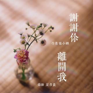 一个人的掌声——张小娴《谢谢你离开我》