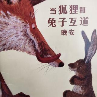 《当狐狸🦊和兔子🐰互道晚安》