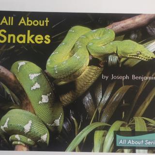 all about snakes