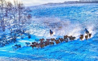 晚安故事《新雪》