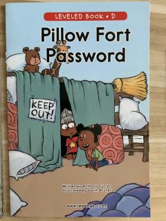 Pillow Fort Password