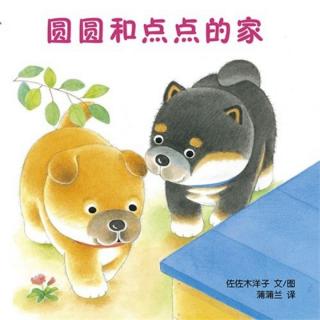 1053.《圆圆和点点的家》