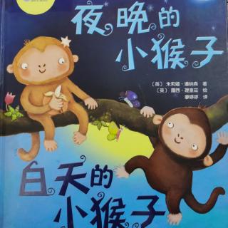 绘本《夜晚的小猴子，白天的小猴子》