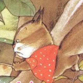 阳光灿烂幼儿园晚安故事—《离家出走的小松鼠》
