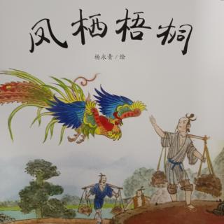 中国经典绘本《凤栖梧桐》