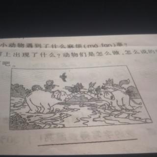 看图写话《大象🐘搭桥》