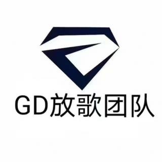 DJ蚊哥-国粤Electro林总订制怀旧经典车载串烧（GD团队出品）