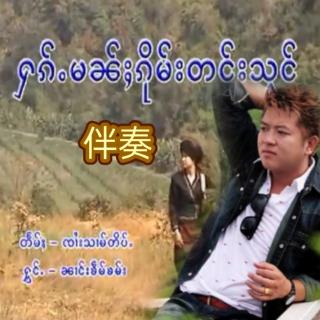 傣龙伴奏🎤_纳盒谈/宰孟罕မၼ်ႈၵိုမး်တင်းသင်